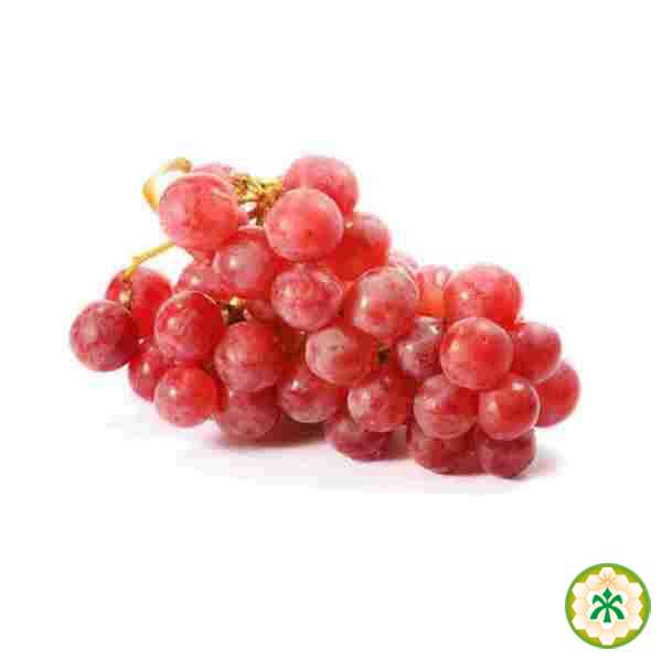 Grapes Red globe