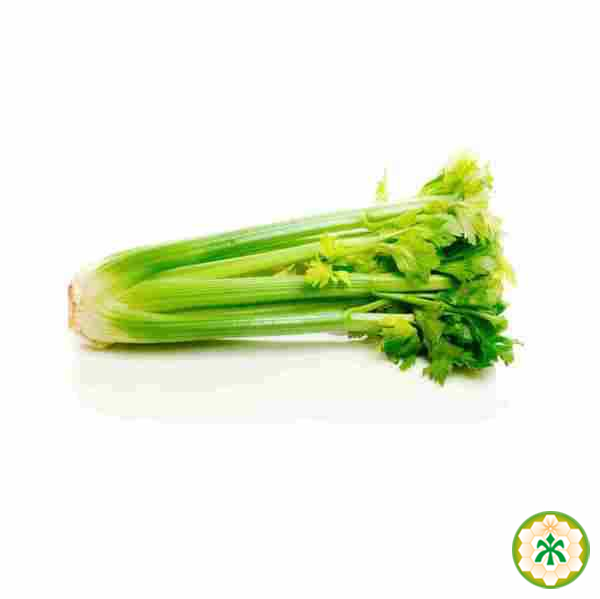 Celery kg