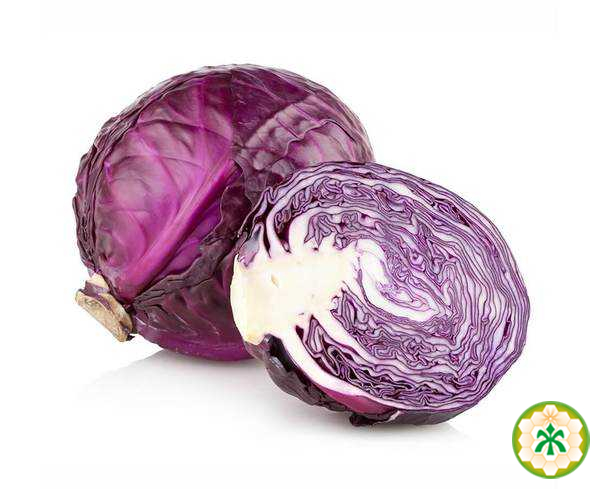 Cabbage, red,