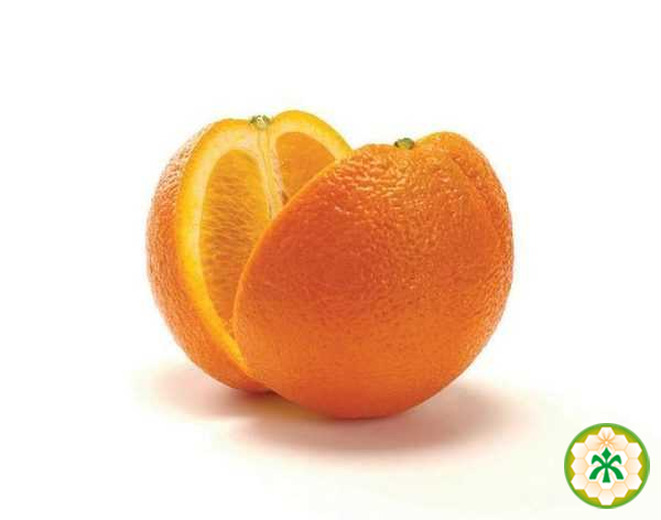 Orange Spain ,kg